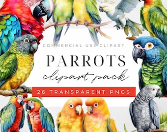 Watercolor Parrot Clipart, Tropical Bird Png,Bird Clipart, Exotic Bird, Tropical Bird Illustration, Parrot Cliparts, Commercial Use