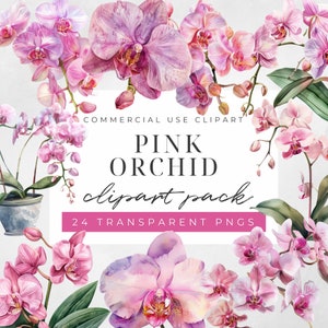 May include: A digital art pack with watercolour illustrations of pink orchids. The image includes the text "PINK ORCHID clipart pack" and "24 TRANSPARENT PNGS". The orchids are in various stages of bloom, with green leaves.