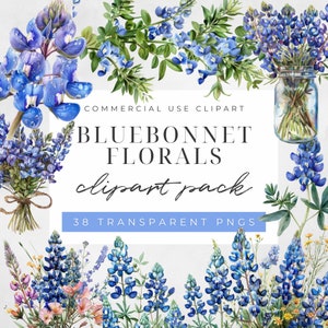 Watercolor Bluebonnet Clipart, Texas Bluebonnets Png, Wildflowers Clipart, Bluebonnet Flowers , Texas Wildflowers Clipart, Commercial Use