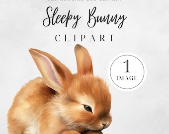 Watercolor Sleepy Baby Bunny, SINGLE IMAGE, Cute Watercolor Bunny Clipart, Boho Bunny Clipart, Sleeping Baby Bunnies Clipart, Rabbit Clipart