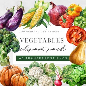 Watercolor Vegetables Clipart, Food Illustration, Healthy Food, Farm Clipart, Vegetables Clipart, Commercial Use, Instant Download