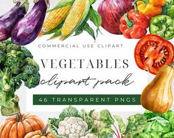 Watercolor Vegetables Clipart, Food Illustration, Healthy Food, Farm Clipart, Vegetables Clipart, Commercial Use, Instant Download