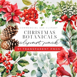 Watercolor Christmas Botanical Clipart, Christmas Clipart, Winter Decor, Christmas Botanicals, Holly Berries, Winter Greenery