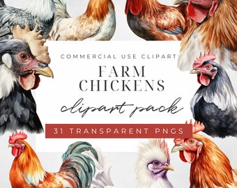 Watercolor Farm Chickens Clipart, Cute Chicken, Clipart Chicken Breeds, Countryside Illustration, Spring Farm Graphic, Commercial Use