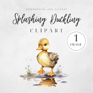 Peut inclure: Une illustration aquarelle d'un petit canard jaune éclaboussant dans une flaque d'eau. Le caneton est tourné vers la droite de l'image et a un petit bec jaune. Le caneton est debout sur ses deux pattes, ses pattes palmées étant visibles. Le caneton est entouré d'herbe verte et de fleurs bleues. L'arrière-plan est de couleur gris clair.