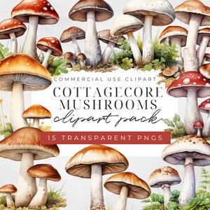 Watercolor Cottage Core Mushroom Clipart, Mushroom Clipart, Mystical Clipart, Cottage Core Png, Mystical Clipart, Digital Download