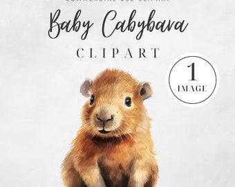Watercolor Cute Baby Capybara Clipart, SINGLE IMAGE, Cute Capybara Png, Watercolor Capybara Clipart, Nursery Clipart, Commercial Use
