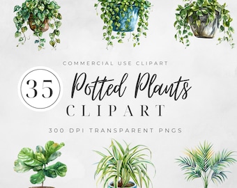 Watercolor Potted Plants Clipart, Potted Plant Graphics, Hanging Plants Clipart, Potted Plant Graphics, House Plants, Instant Download