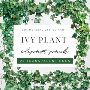 Watercolor Vines Clipart, Vines Clipart, Ivy PNG, Ivy Frames, Wedding Clipart, Wedding Greenery , Instant Download, Commercial Use