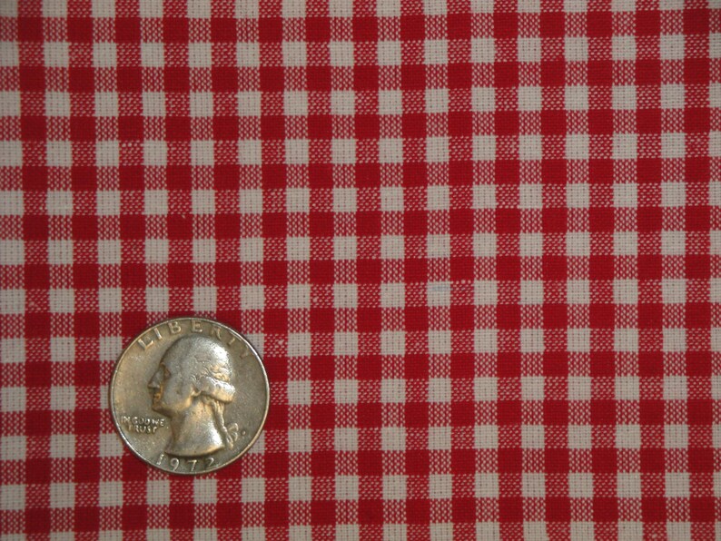 Pu&ograve; includere: Primo piano di tessuto a quadretti rossi e bianchi. Una moneta da un quarto di dollaro d'argento del 1972 &egrave; posta sul tessuto per la scala. Il tessuto presenta un classico motivo a quadretti, con quadrati rossi e bianchi uniformemente distanziati.