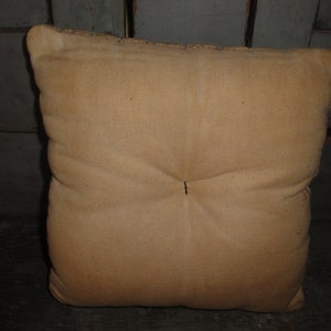 May include: A plain, off-white, square pillow with a single button in the center.