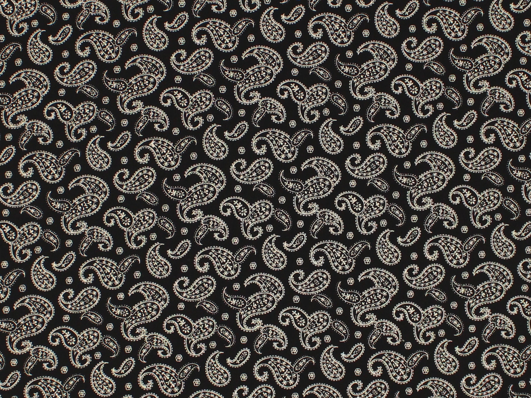 Remember When Civil War Reproduction Cream Cotton Quilting Fabric With  Black Flower Design - Kittredge Mercantile