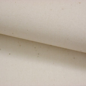 May include: Close-up of a plain, off-white canvas fabric with a subtle texture. The fabric has a few small, dark spots.