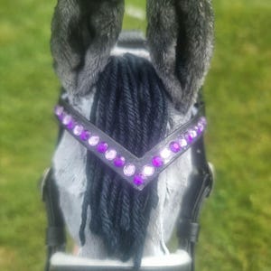 Purple multi colored hobby horse browband