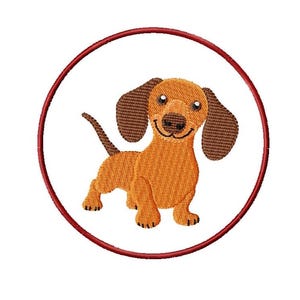 May include: A brown and tan dachshund dog with brown ears is smiling inside a red circle. The dog is standing on all four legs.