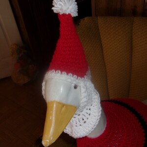 May include: A goose wearing a handmade Santa Claus outfit. The red crocheted hat has a white trim and a white pom-pom. The goose also wears a red crocheted sweater with black stripes and a white crocheted collar.
