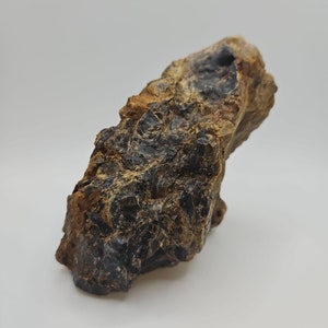 May include: A dark brown and black rock with a rough, textured surface.