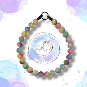 Ombre Rainbow Beaded Dog Collar | Necklace