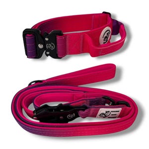 Può includere: Un set di collare e guinzaglio per cani con sfumatura rosa e viola. Il collare presenta una fibbia in metallo nero e il guinzaglio un'impugnatura abbinata. Entrambi gli articoli hanno un'etichetta bianca con un logo.
