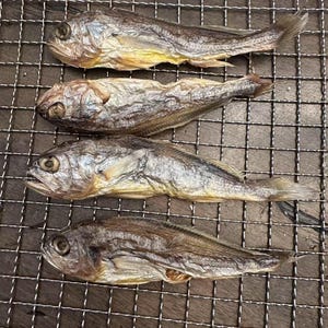 Dehydrated Yellow Croaker - Single Ingredient, All-Natural, High Protein, Omega-3, Joint/Dental Health, for Dogs, Cats, Humans!