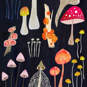 Mushroom Fungi POSTCARD Snail Mail Mushroom Collector Fungi Forager Garden Nutrition Food Foodie Cook Chef Feel Good Gift Post Stationery