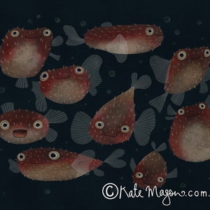 Kugelfisch POSTKARTE Briefpost Meerestiere Kugelfisch Geschenk Sea Life Post Briefpapier