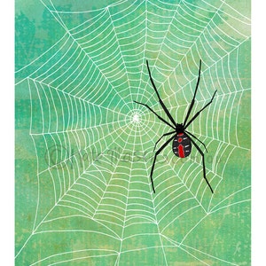 Red Back Spider Web ART PRINT Australian Arachnids