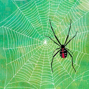 Redback Spider POSTCARD Snail Mail Arachnid Post Australian Spider Web Stationery