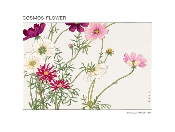 TK-A1B2C1C2 Set of 4 Vintage Floral Watercolor Woodblock Art