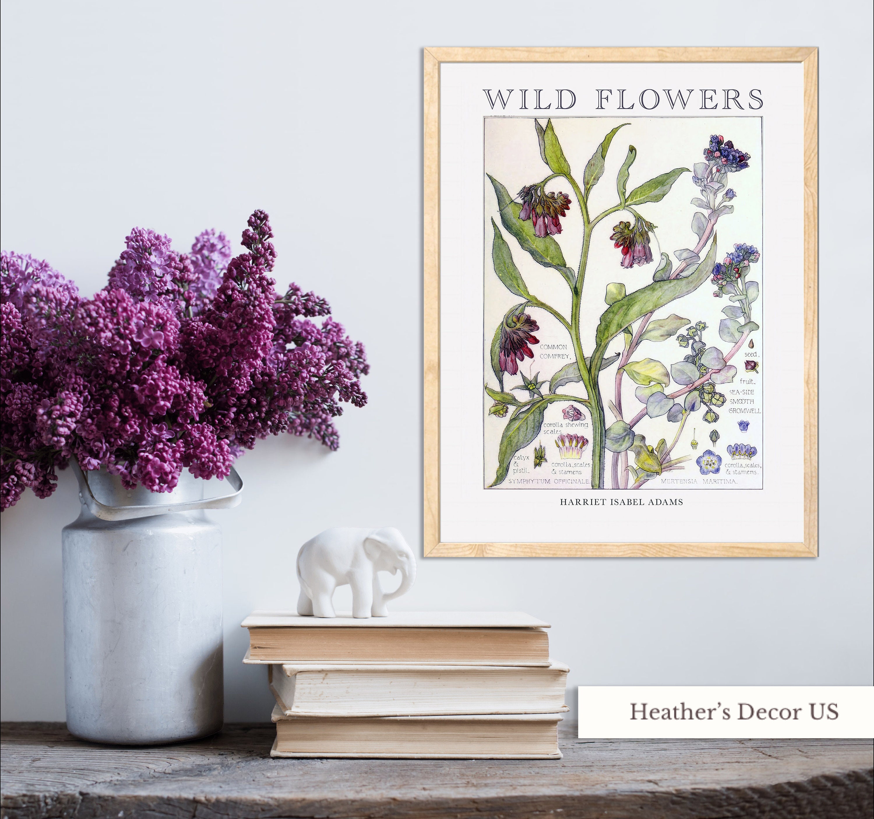 1867 Antique Botanical Engraving With Lady Flower