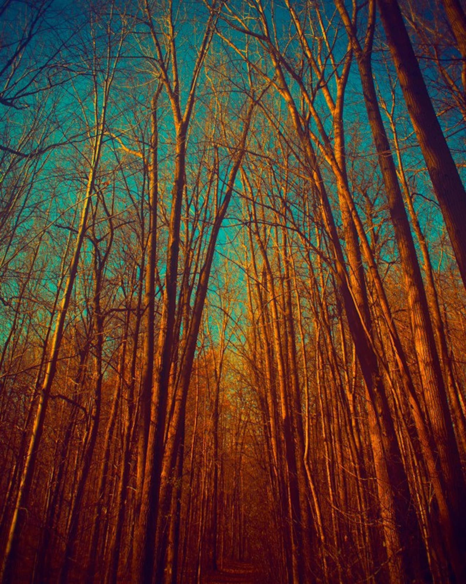 Осенняя бирюза. Эстетика оранжевого цвета осень. Бирюзовый с оранжевым в природе. Красивые осенние листья. Бирюзовый осенний.