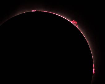 Solar eclipse, american eclipse, 2017 eclipse. total eclipse, astrophotography, sun moon, solar flare, shadow, umbra, totality, prominences