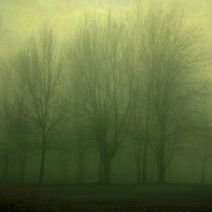 Landscape Photography Green Trees Emerald Green Wall Decor | Etsy
