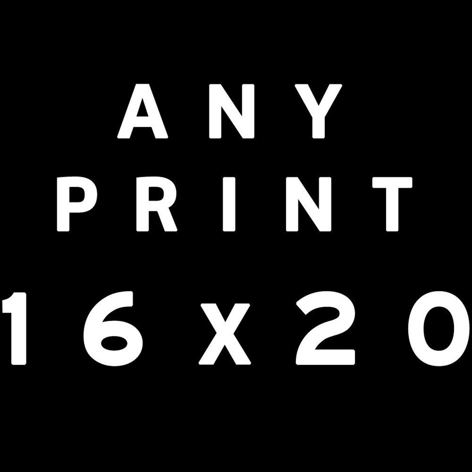 16x20 Photography Large Format Print Make Any Photo 16x20 Etsy