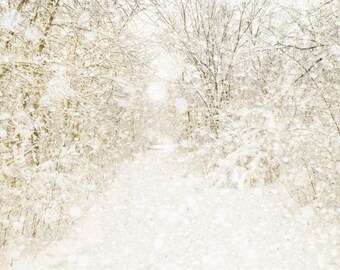 Winter photography, snow, wedding, rustic decor, white wedding, neutrals, snow photography, snow storm, forest, woodland