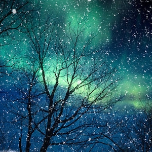 Nature photography winter photography northern lights snow photo blue green starry night falling night zodiac astrology