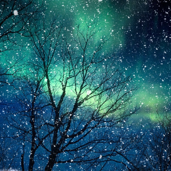 Nature photography winter photography northern lights snow photo blue green starry night falling night zodiac astrology