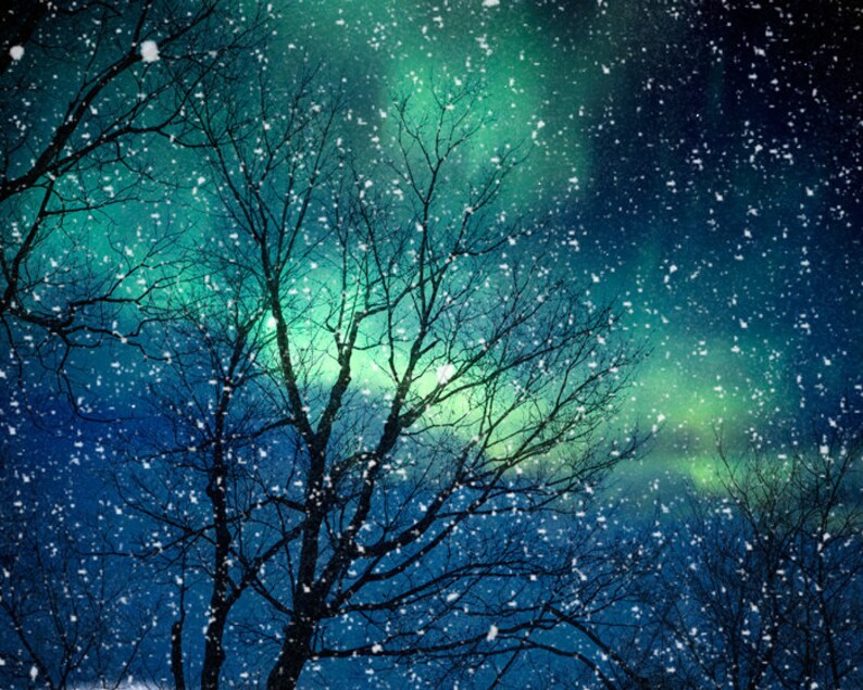Nature photography winter photography northern lights snow photo blue green starry night falling night zodiac astrology image 1