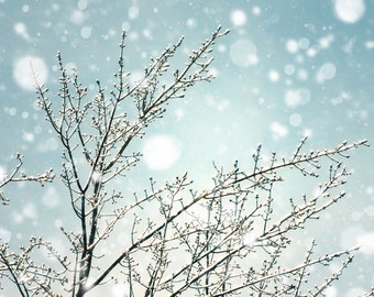 Falling snow snow photo bare trees icy branches winter snow snowstorm bokeh snowflakes fat snowflake pale blue muted tones neutrals