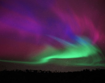 Aurora Borealis, winter, northern lights, nature photography, night sky, Ontario, purple, green, blue, zodiac, astrology, stars