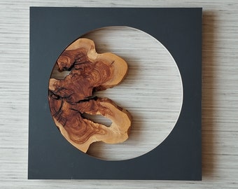 Natuurlijke olijfhouten platen: doe-het-zelf epoxyharskunst (0,8 inch dik)