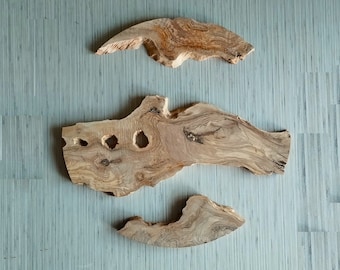 Natural Olive Wood Slabs: Epoxy Resin DIY Art (0.8 inch) Kiln-dried Olive Wood