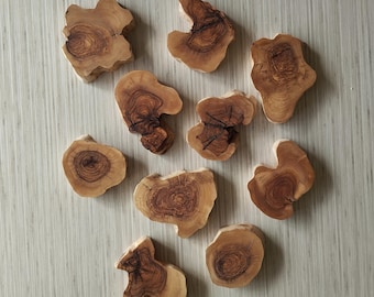 10 Olive Wood Slices: Natural DIY Epoxy Resin Art, Kiln-dried Olive Wood