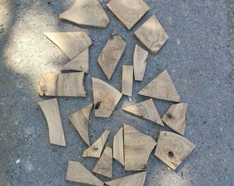Olive Wood Offcuts 1–10 lb, Mixed Olive Wood Scraps, Natural Wood Pieces for Epoxy Resin Art, DIY Woodworking Supplies