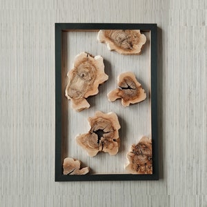 Natural Olive Wood Slices: DIY Epoxy Resin Art