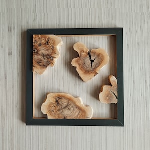 Natural Olive Wood Slices: DIY Epoxy Resin Art Pieces