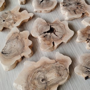 Natural Olive Wood Slices: DIY Epoxy Resin Art (6-8 inch)