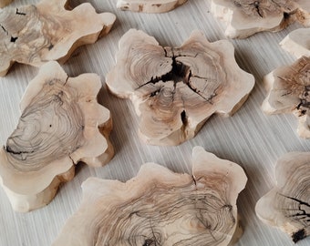 May include: A collection of natural wood slices, each with unique grain patterns and shapes. The slices are light brown in color and have a smooth, polished finish.