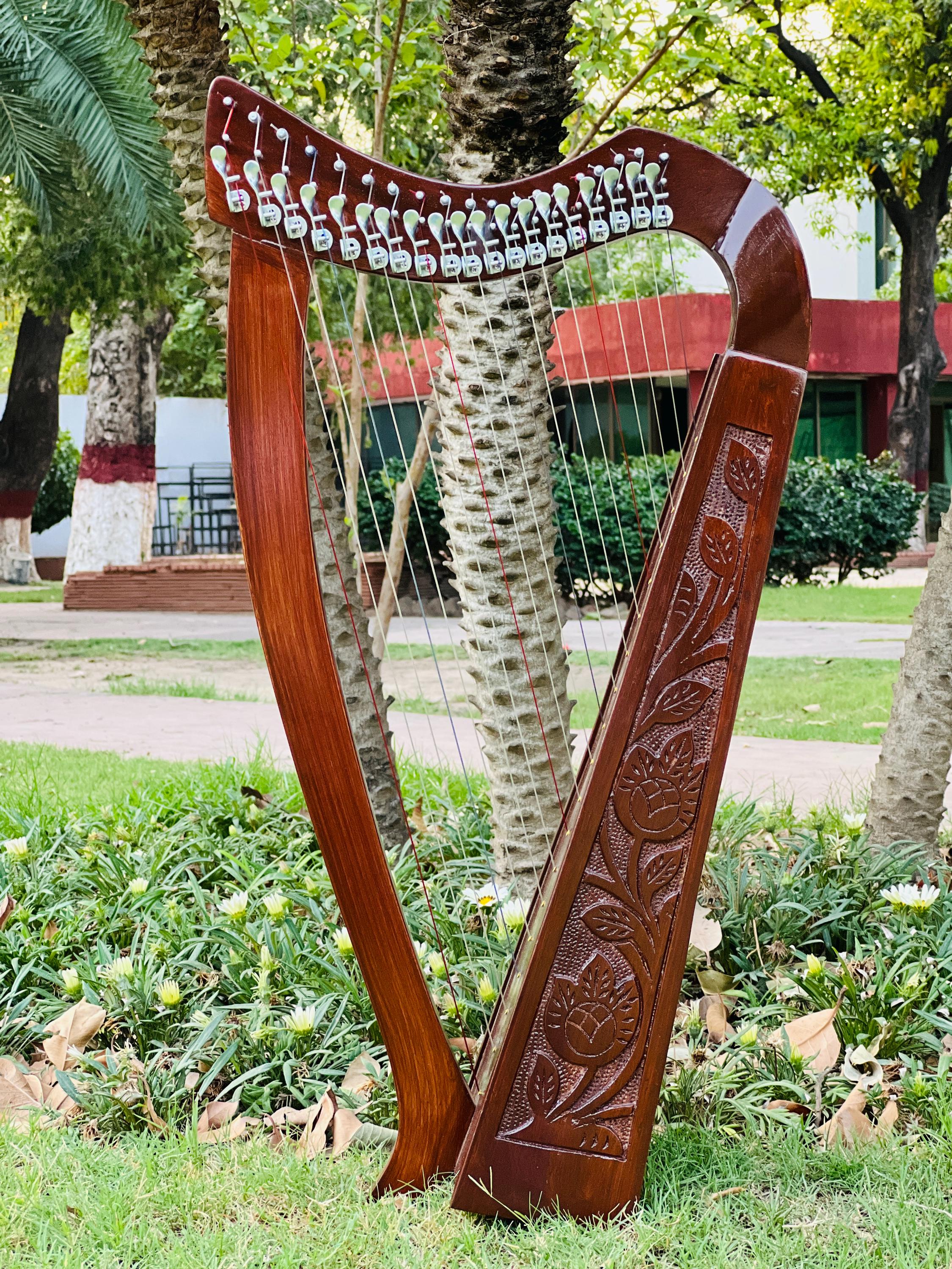 Rosewood Celtic Harps Traditional Vintage Lyre Harp Irish 9, 12, 19, 22 ...