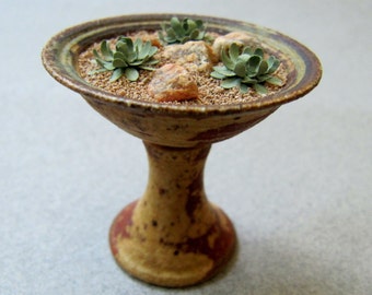 Dollhouse Miniature Sedum Garden Pedestal IGMA Fellow